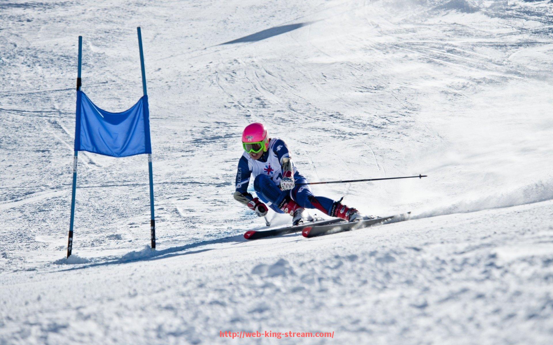 王者体育直播-建立世俱杯比赛草皮压痕修复标准作业流程的操作规范